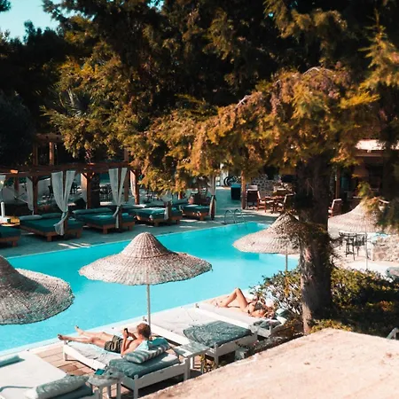 Casa Trees Boutique * Ixia (Rhodes)