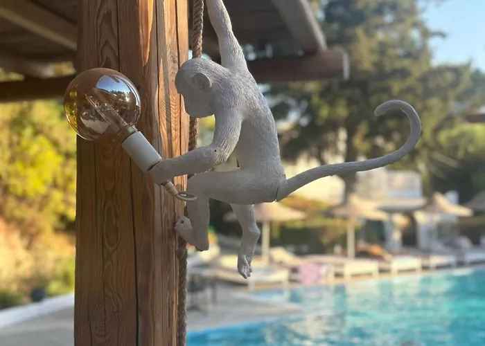 Casa Trees Boutique Hotel *