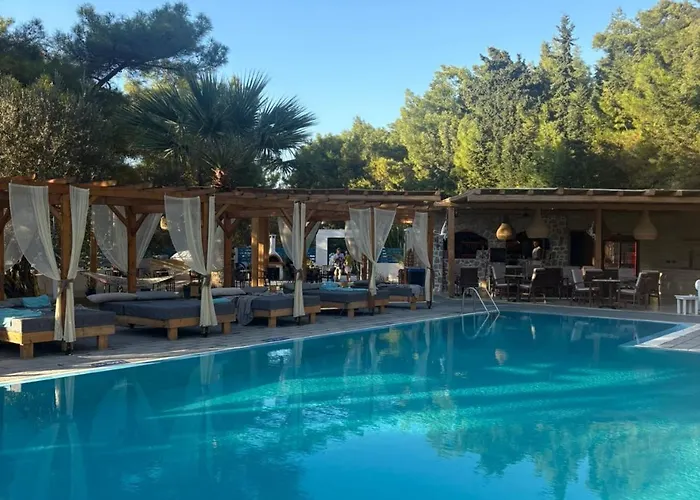 Hotel Casa Trees Boutique *