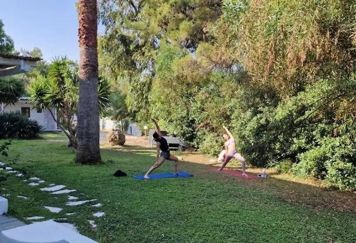 Casa Trees Boutique Hotel * Ixiá