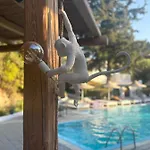Casa Trees Boutique Hotel 3*