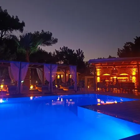 Hotel Casa Trees Boutique Hotel