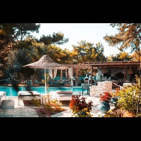 Casa Trees (adults Only) Hotel 3*