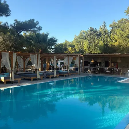 Hotel Casa Trees (adults Only) 3*