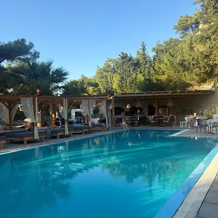 Casa Trees (adults Only) Ixia (Rhodes)