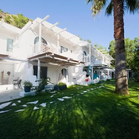 Casa Trees Boutique Hotel