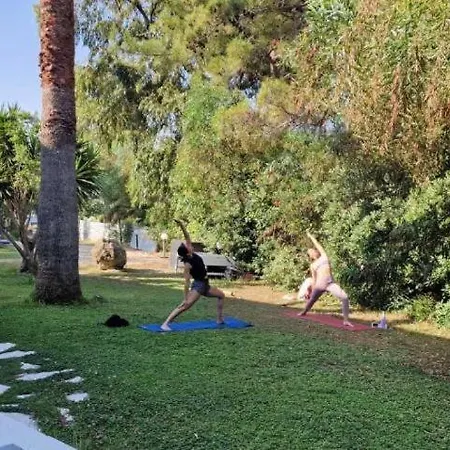 Casa Trees Boutique Hotel * Ixia (Rhodes)