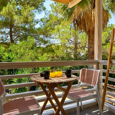 Casa Trees (adults Only) Hotel