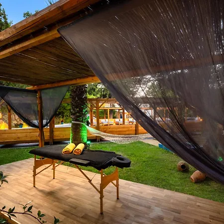 Hotel Casa Trees (adults Only) 3*