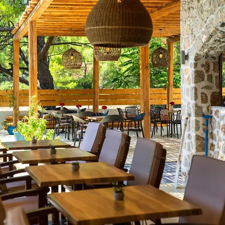Casa Trees (adults Only) Hotel Ixia (Rhodes)
