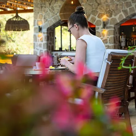 Hotel Casa Trees (adults Only) Ixia (Rhodes)