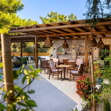 Casa Trees (adults Only) 3*