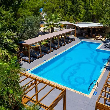 Casa Trees (adults Only) Ixia (Rhodes)
