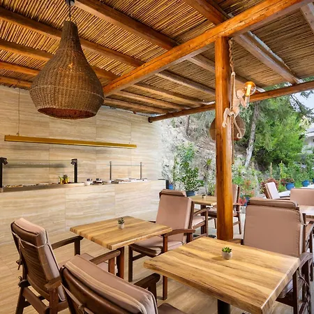 Casa Trees (adults Only)