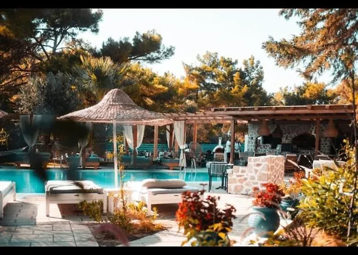 Casa Trees Boutique Hotel Hotel *