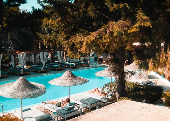 Casa Trees Boutique Hotel * Ixia (Rhodes)