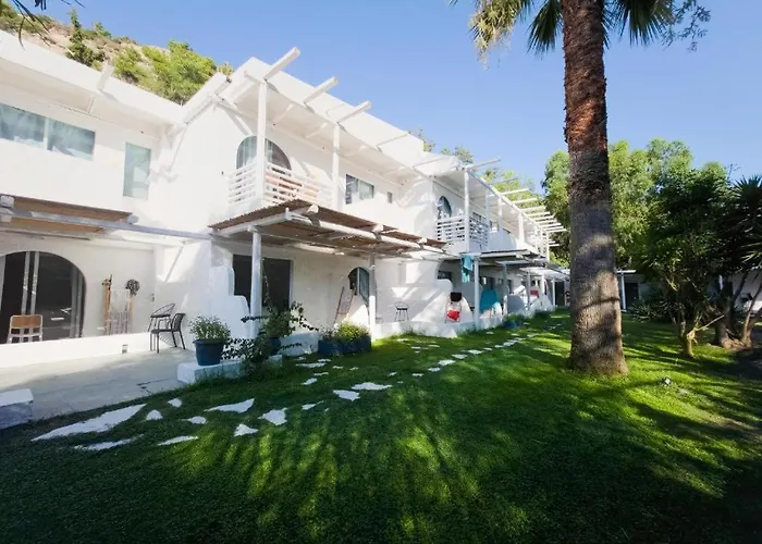 Casa Trees Boutique Hotel