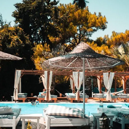 Szálloda Casa Trees Boutique 3*